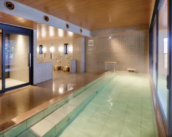 淡い緑色の湯が満ちたタイル張りの内湯。手前には階段状の湯だまりがあり、奥には洗い場が並びます。