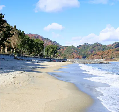 青い空の下、白い砂浜が広がる海岸。